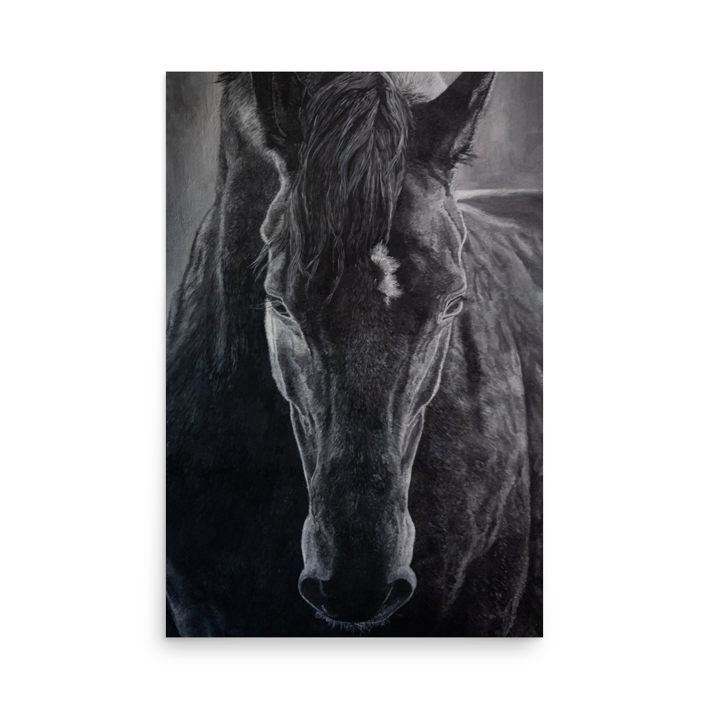 Poster Horse "Night"