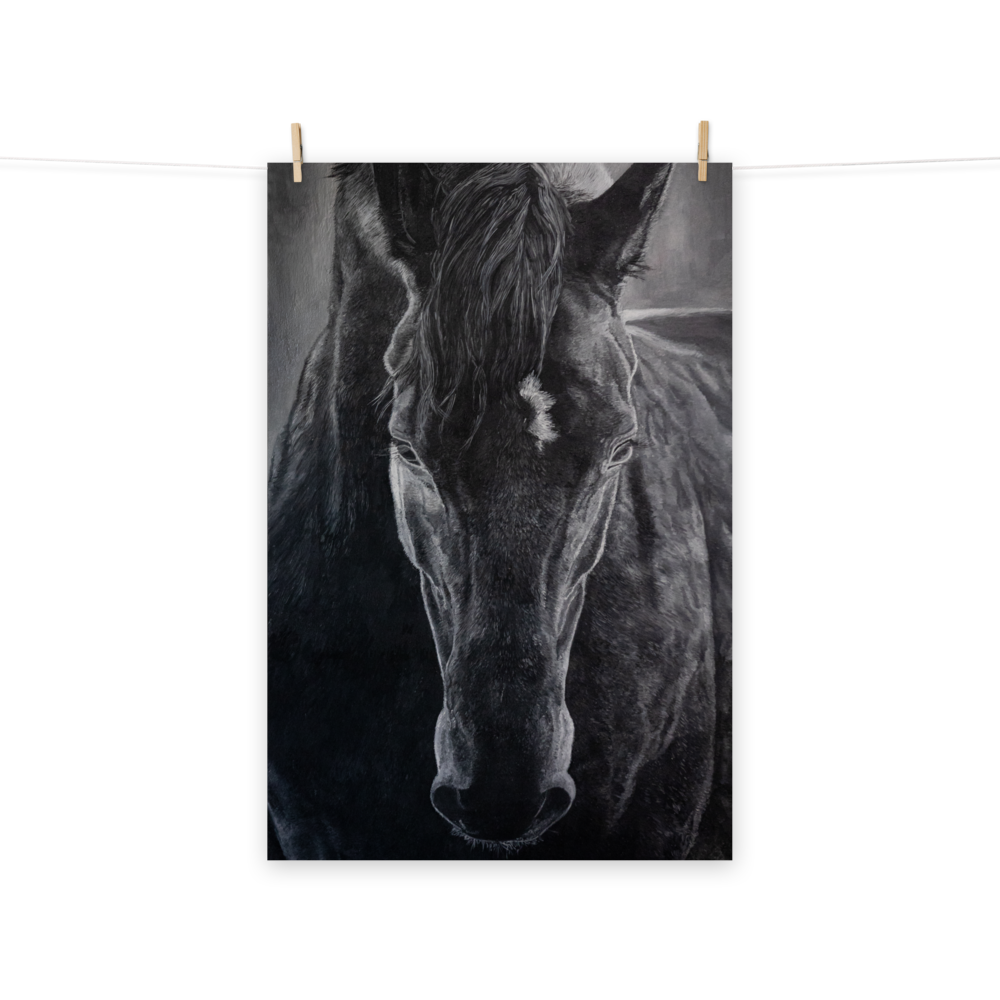 Poster Horse "Night"