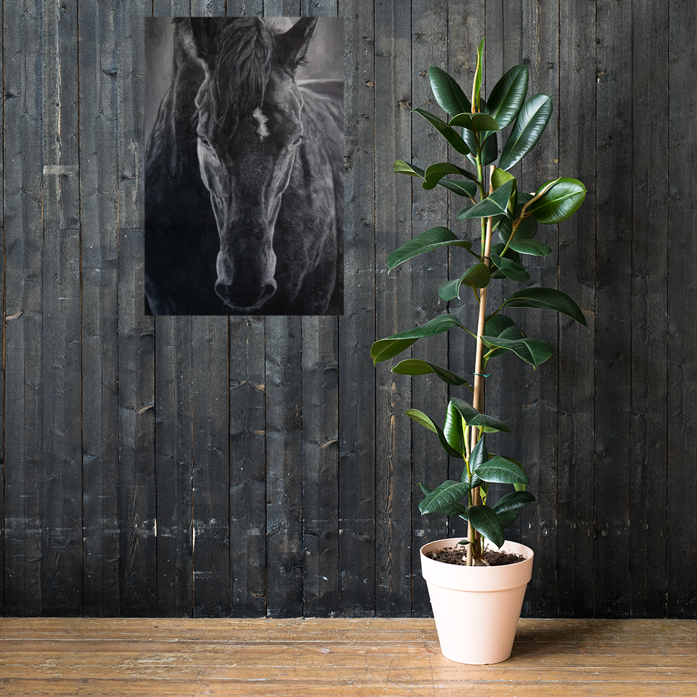 Poster Horse "Night"